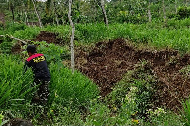 Seorang warga di salah satu titik lokasi tanah gerak dan amblas, di Desa Ngrandu Kecamatan Suruh Kabupaten Trenggalek Jawa Timur, Rabu (18/12/2024).