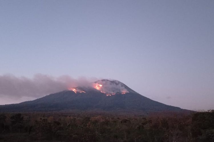 Kebakaran Hutan Akibat Erupsi Ile Lewotolok Belum Bisa Dipadamkan, Kendala Aturan dan Petunjuk