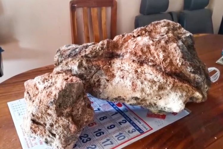 Ambergris atau muntahan paus seberat 30 kilogram yang ditemukan nelayan Thailand. Nilainya mencapai Rp 19 miliar