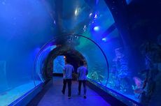 Oceanarium BXSea Bintaro: Harga Tiket Masuk dan Jam Buka