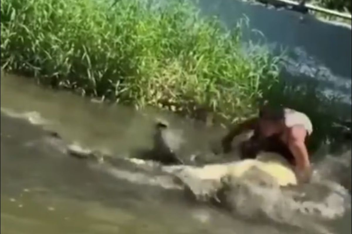 Seorang turis di Filipina digigit buaya karena mengiranya hanya patung.
