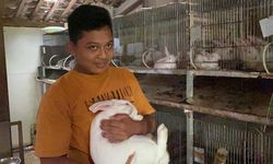 Cerita Pelajar SMP Jadi Peternak Kelinci, Hasilkan Jutaan Rupiah di Sela Belajar Daring