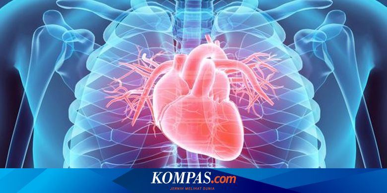 Ini yang Terjadi Saat Tubuh Mengisap Satu Batang Rokok Setiap Hari 