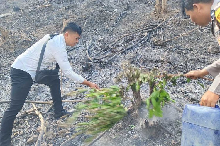 Petugas saat memadamkan kebakaran hutan di Bukit Rangkap yang berjarak sekitar 400 meter dari Sirkuit Mandalika, Lombok Tengah, NTB, Senin (9/10/2023)