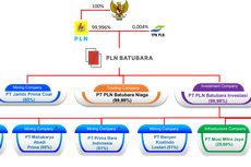 Mengenal PT PLN Batubara yang Diminta Luhut untuk Dibubarkan
