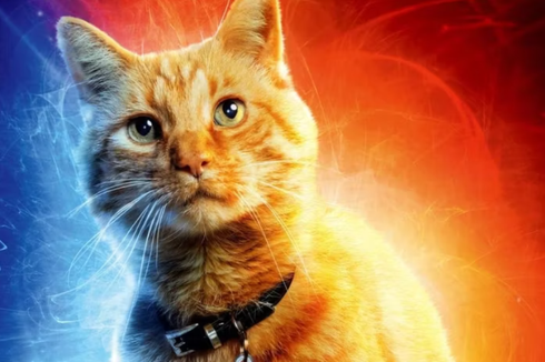 Akting Perdana, Kucing Oren di The Marvels Ternyata Harus Belajar Adegan