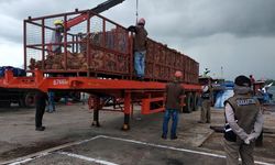 Ekspor Pertanian Tumbuh 12,66 Persen, BPS: Hanya Sektor Ini yang Naik 