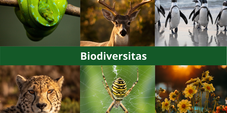 Biodiversitas: Pengertian, Manfaat, Dan Jenisnya