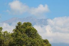 Gunung Raung Waspada, Banyuwangi Buka Posko Bencana