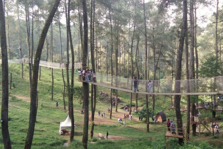 Pengunjung saat menikmati Wooden Bridge di eduwisata Orchid Forest Cikole, Bandung Barat, Minggu (17/6/2018).