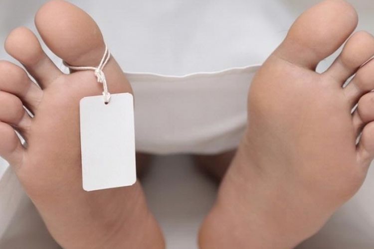 Nenek 60 Tahun di Pekanbaru Tewas Dirampok, Detik-detik Aksi Pelaku Terekam CCTV