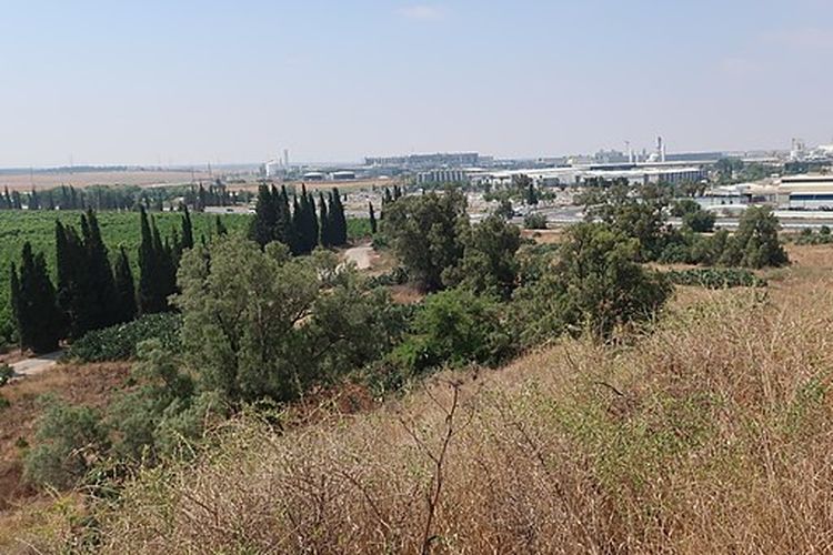 Di gundukan Tel Erani melihat ke selatan di Kiryat Gat