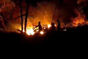 Polri Diminta Transparan Usut Korporasi yang Terlibat Kasus Karhutla