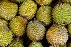 9 Cara Olah Buah Durian, dari Cara Kupas hingga Simpan