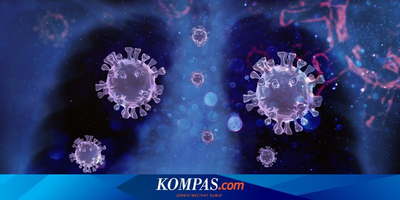 Peneliti Jelaskan Kaitan Covid-19 dengan Disfungsi Kognitif - Vimarsana News