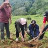 Mengenal Telo Mangul, Ubi Khas Kabupaten Semarang yang Dipanen Setahun Sekali hingga Tak Dijual di Pasaran