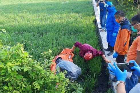 Jebakan Tikus di Sragen Tewaskan Enam Petani, Bupati Ancam Tuntut Pemilik Sawah