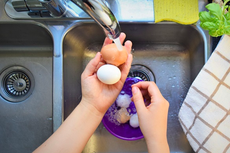 Benarkah Telur Tidak Perlu Dicuci Sebelum Disimpan?