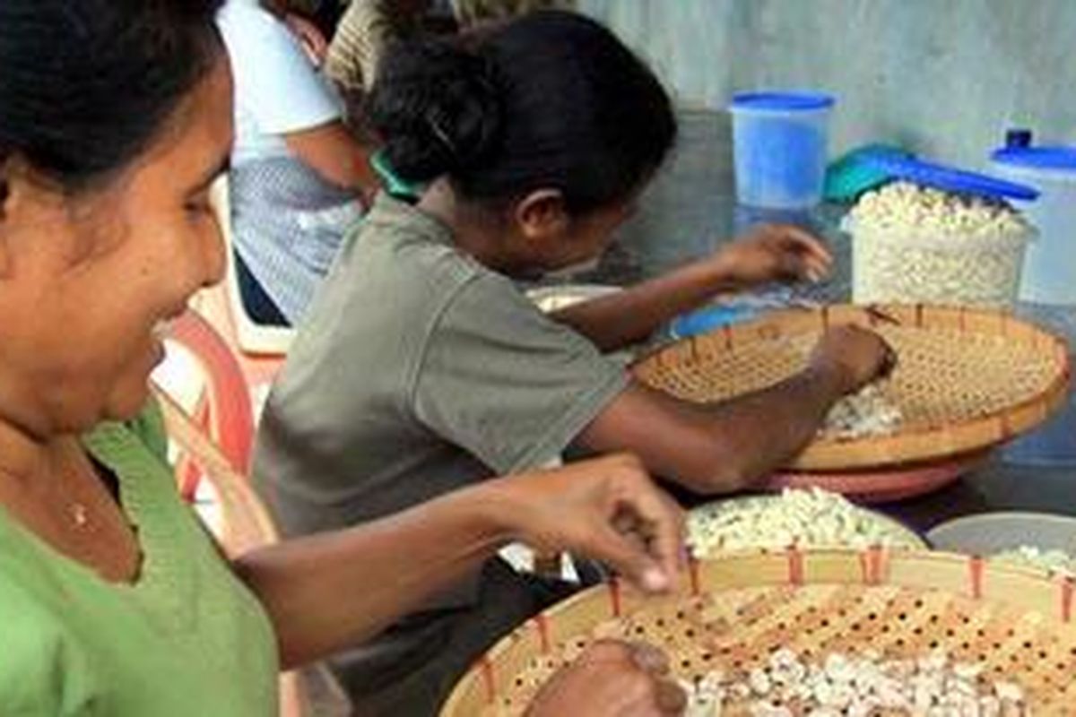 Pengolahan kacang mete di Wolowaru, Ende, NTT.
