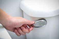 Flush Toilet Bisa Sebarkan Virus ke Udara, Termasuk Covid-19