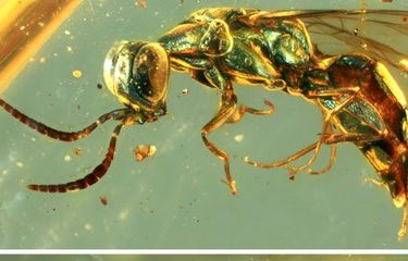 Uxlab yotgan qiz dostimni yaladi Uzbek sex kizlar kilplari