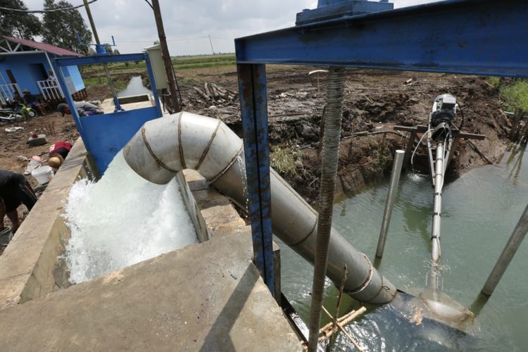 Polder mini milik Kementerian Pertanian