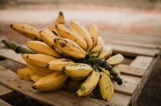 Apakah Buah Pisang Baik untuk Ginjal? Berikut Penjelasannya…