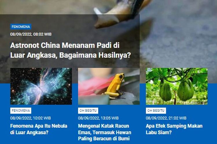 Populer Sains, astronot China menanam padi di luar angkasa, apa itu fenomena nebula, mengenal katak racun emas, efek samping makan labu siam.