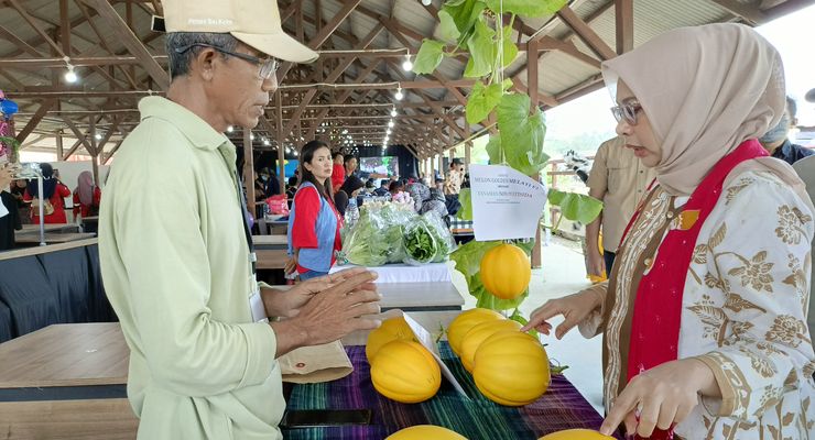 Insentif PPh 0 Persen Buat UMKM di IKN Berlaku hingga 2035
