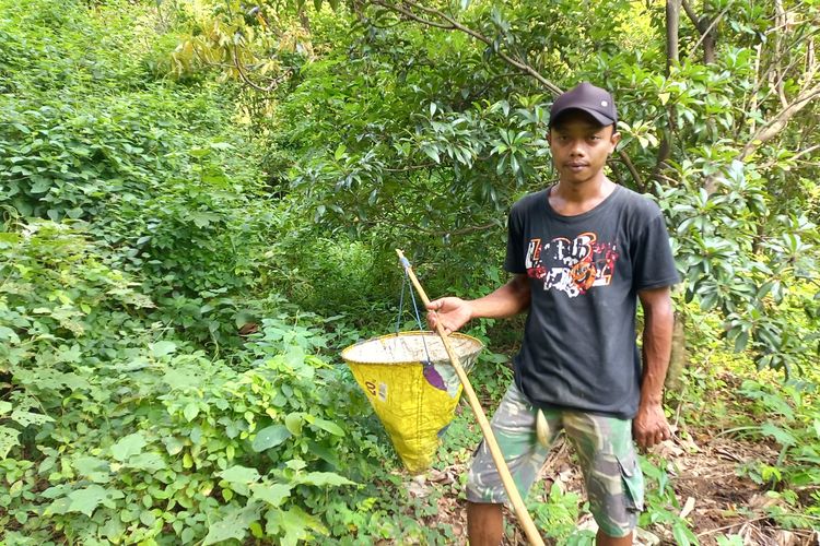 Wito (28), saat mencari kroto di kawasan Bukit Maskumambang Kota Kediri, Jawa Timur