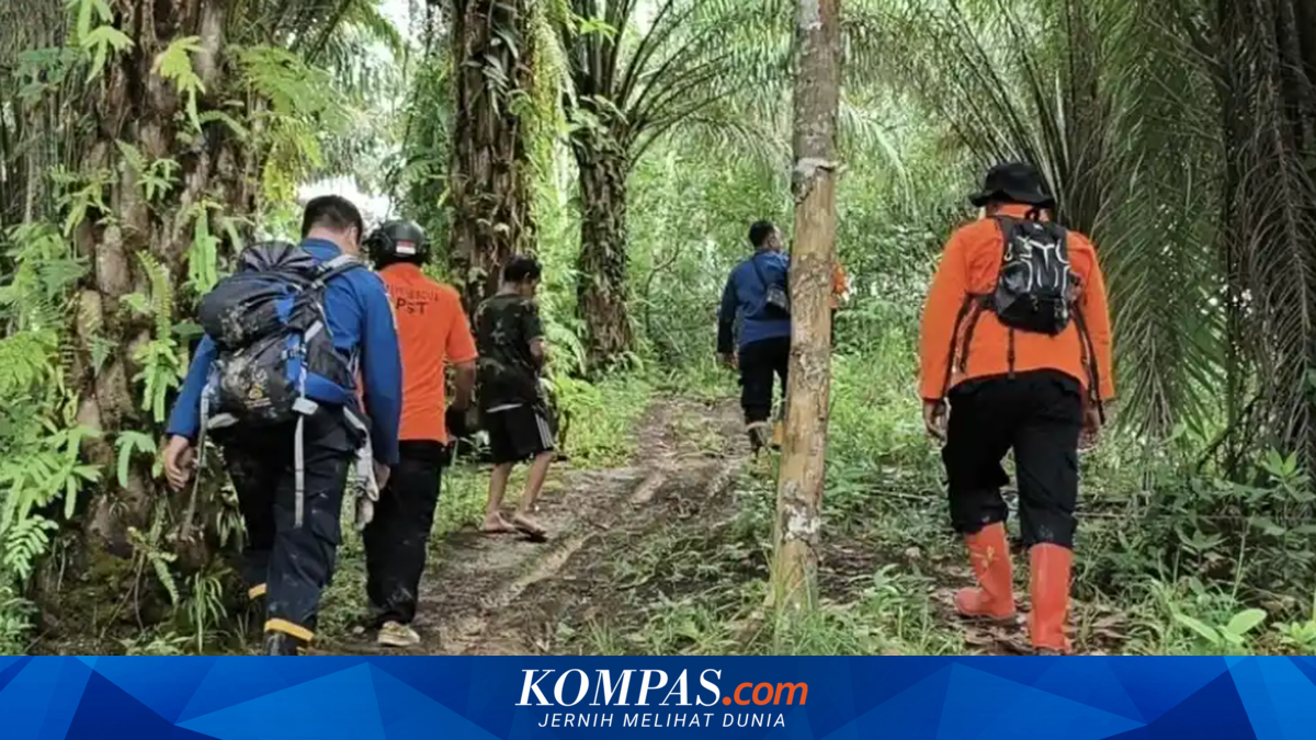 Kronologi Warga Ketapang Hilang usai Hadiri Pertunangan Anak, Tim SAR Sisir Hutan dan Kebun Sawit