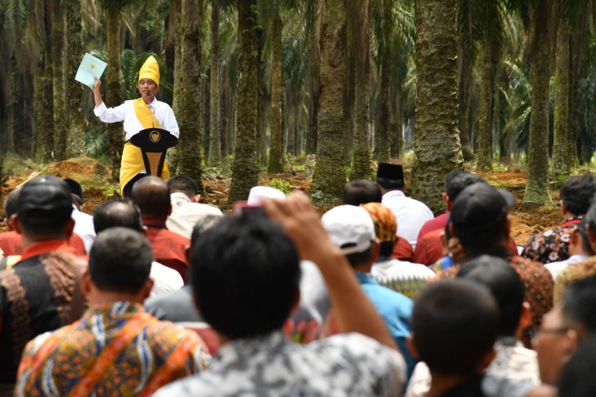 Presiden Joko Widodo meresmikan program Peremajaan Sawit Rakyat seluas 25.423 hektare di Provinsi Riau. Acara peresmian berlaku di Kabupaten Rokan Hilir, Riau, Rabu (9/5/2018). 