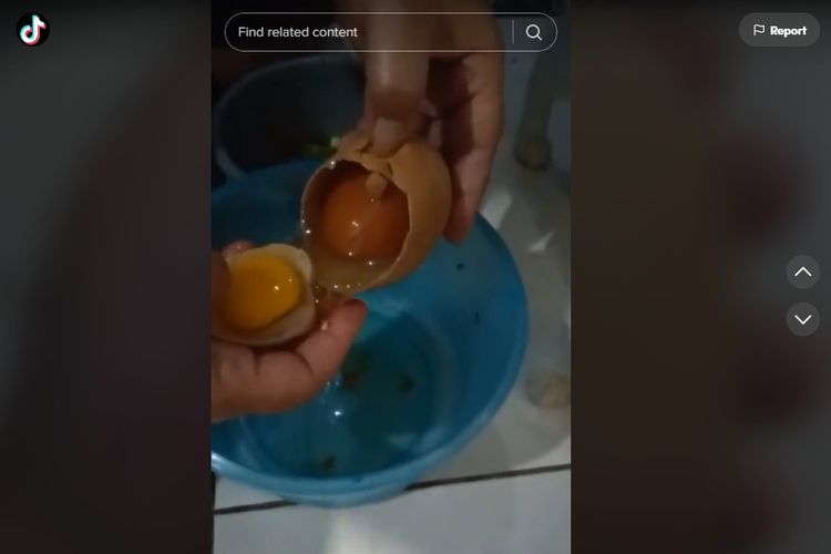 Viral, video ada telur di dalam telur.