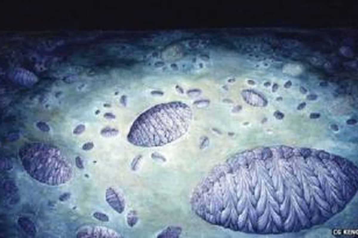 Ilustrasi penyebaran Fractofusus, makhluk primitif dengan kehidupan seksual kompleks yang hidup 565 juta tahun lalu. 
