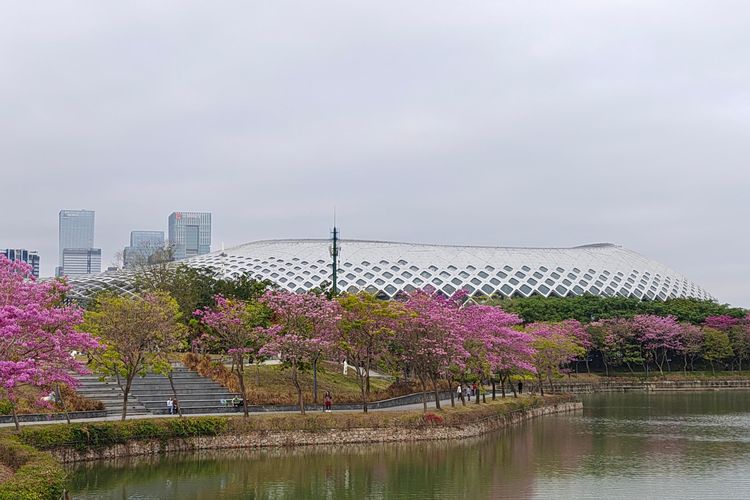 Hasil foto kamera 200 MP dari HP baru Realme yang belum resmi dirilis.