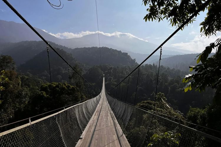 Jembatan Gantung Lembah Purba di Situ Gunung Sukabumi. 