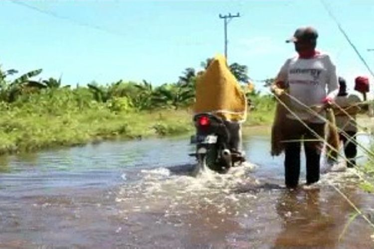 Warga Jala Ikan-Ikan Meluap Hingga ke Jalan Raya Akibat Banjir