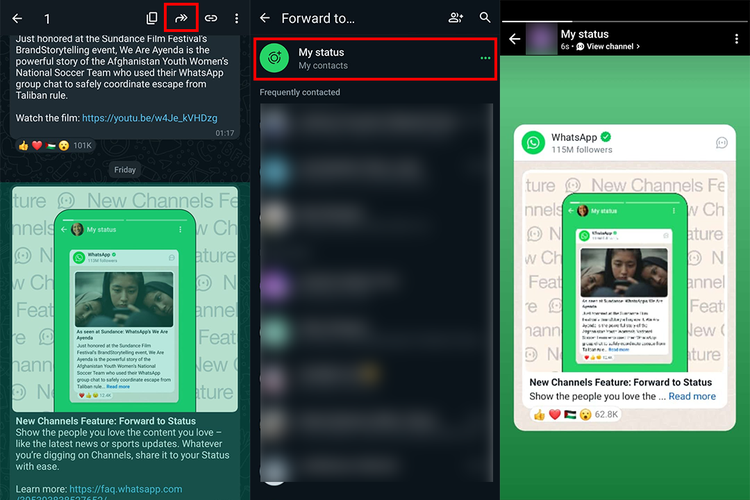 Cara meneruskan pesan di WhatsApp Channel (Saluran Whatsapp) menjadi WhatsApp Status