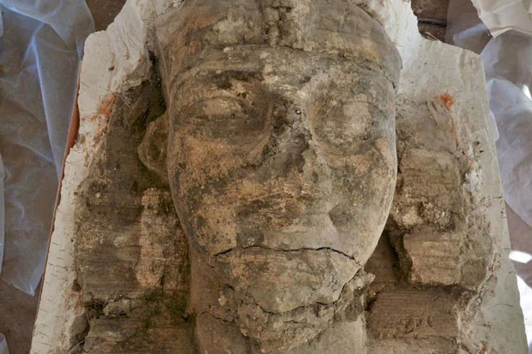 Patung-patung batu kapur raksasa tersebut sekitar 26 kaki (hampir 8 meter) panjangnya ditemukan di pemakaman Raja Amenhotep III Mesir kuno. 