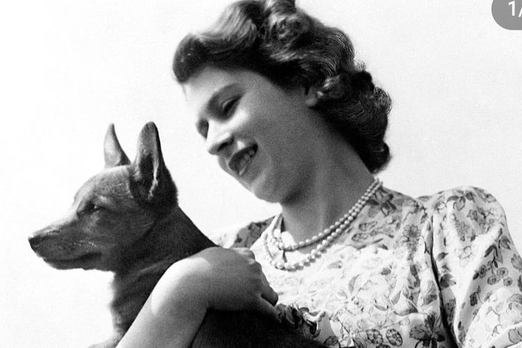 Ratu Elizabeth II sewaktu muda berfoto dengan salah satu anjing Corgi peliharaannya.
