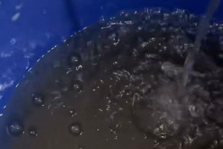 Update Viral Air PDAM di Sukoharjo Hitam dan Berjentik, Petugas Turun Tangan dan Air Sudah Jernih