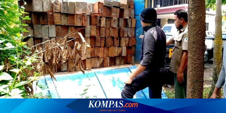 Berita Harian Kayu Ilegal Terbaru Hari Ini Kompas Com