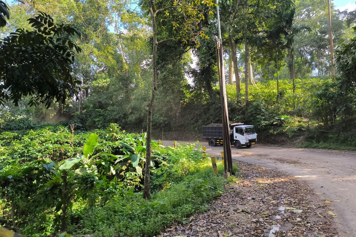 Jalur lalu lintas di Gunung Gumitir Jember menuju Banyuwangi, Selasa (12/8/2025).