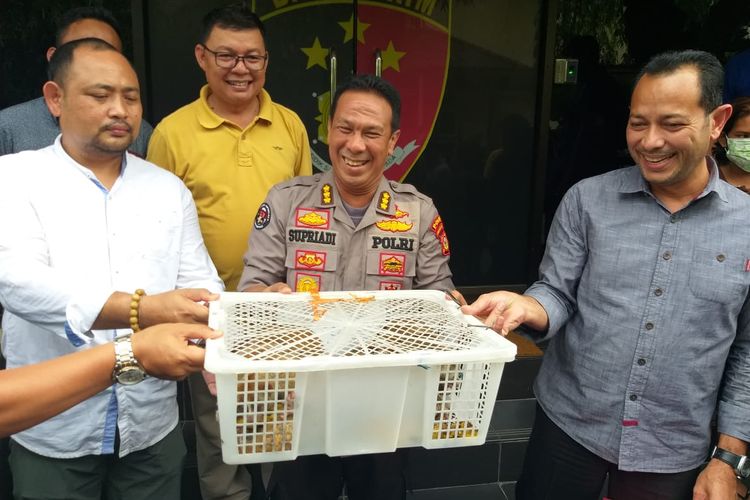 Polda Sumatera Selatan menunjukkan barang bukti sebanyak delapan ekor kukang yang ditangkap dari seekor pedagang di pasar 16 Ilir kota Palembang, Selasa (23/4/2019).