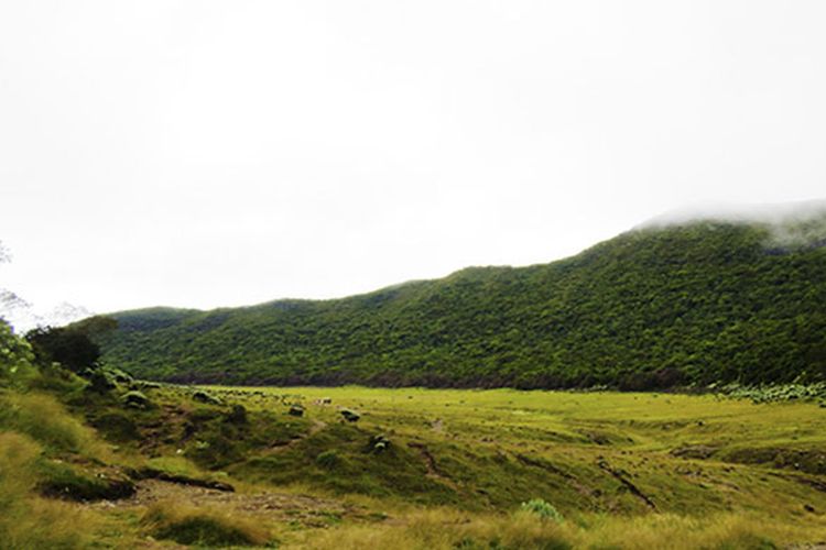 Alun-alun Surya Kencana di Gunung Gede.