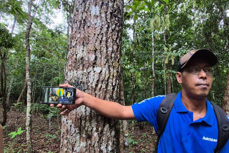 Hutan “Bisa Bicara”, Inovasi Digital Angkat Wisata Bukit Peramun