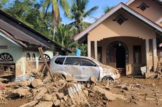 Gajah Kerja Pascabanjir Sumatera, Apakah Etis? Ahli: Jangan Sampai Jadi Eksploitasi