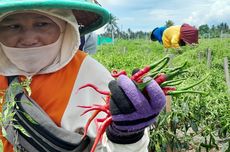 Pengiriman Gratis, KAI Logistik Himpun dan Kirim 3 Ton Bantuan ke Sumatra