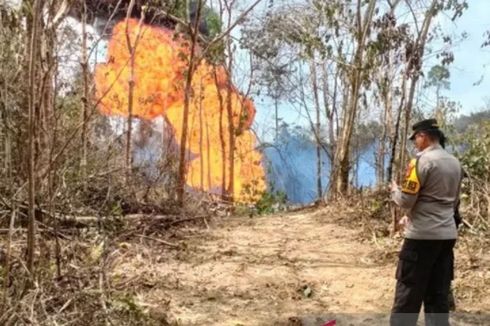 11 Hari Kebakaran Sumur Minyak Ilegal di Jambi Belum Berhasil Dipadamkan