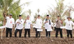 Kendalikan Inflasi, Pj Bupati Tangerang Tanam Cabai bersama Masyarakat